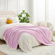 Reversible Plush Throw Blanket