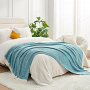 Reversible Plush Throw Blanket